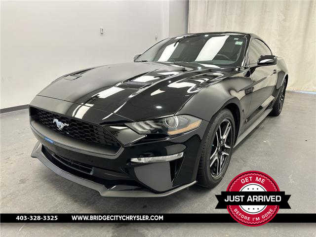 2019 Ford Mustang EcoBoost (Stk: 37557) in Lethbridge - Image 1 of 24