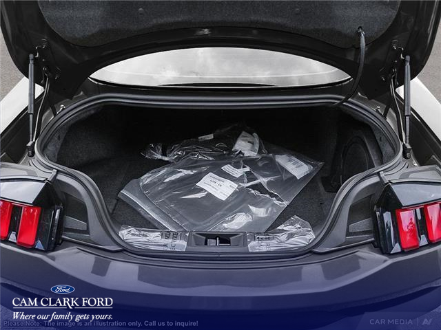 2024 Ford Mustang  (Stk: 8C430994) in Richmond - Image 6 of 24