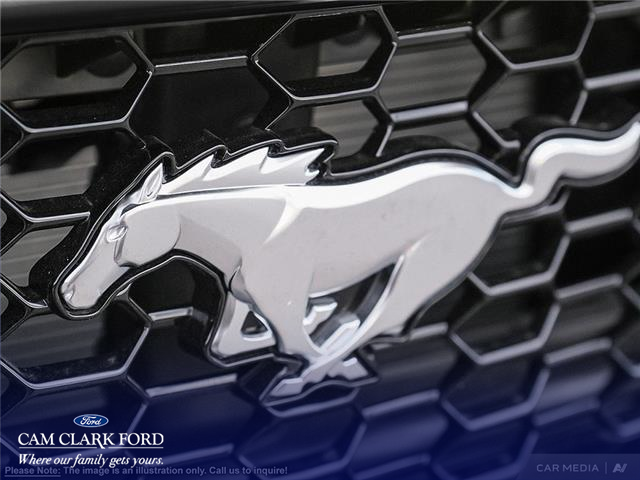 2024 Ford Mustang  (Stk: 8C430994) in Richmond - Image 8 of 24