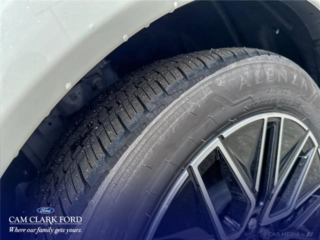 2025 Ford Mustang Mach-E Premium (Stk: K3S01424) in Richmond - Image 7 of 25