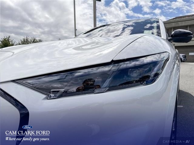 2025 Ford Mustang Mach-E Premium (Stk: K3S01424) in Richmond - Image 8 of 25