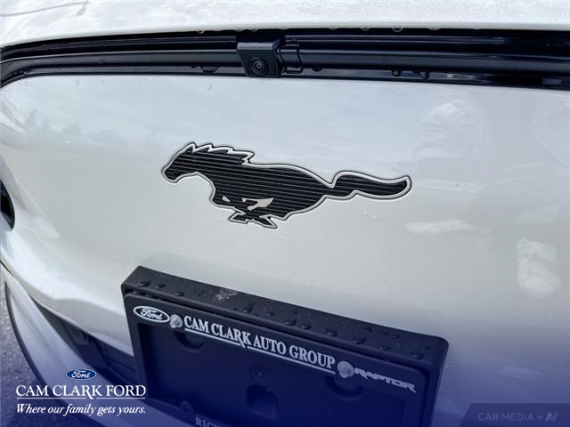 2025 Ford Mustang Mach-E Premium (Stk: K3S01424) in Richmond - Image 9 of 25