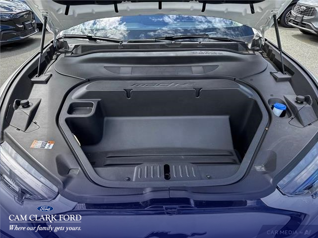 2025 Ford Mustang Mach-E Premium (Stk: K3S01424) in Richmond - Image 10 of 25