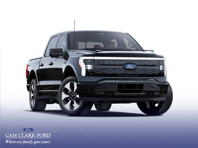 2025 Ford F-150 Lightning Platinum photo 4