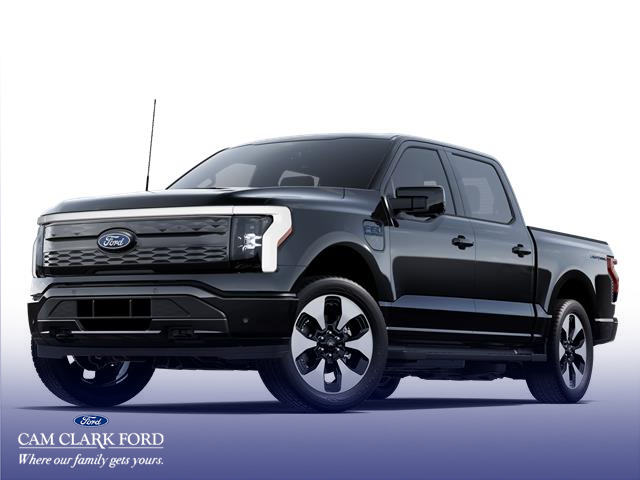 2025 Ford F-150 Lightning Platinum (Stk: W7L20060) in Richmond - Image 1 of 7