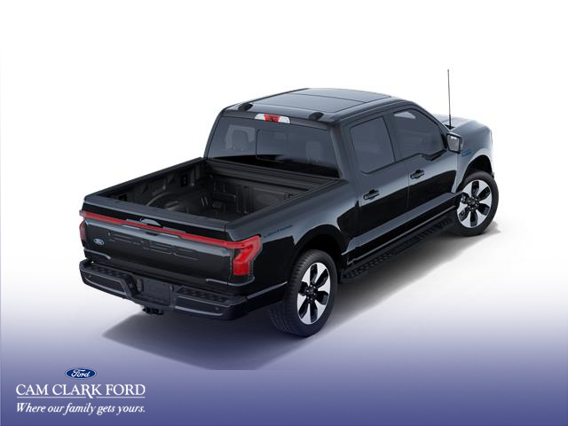 2025 Ford F-150 Lightning Platinum photo 3