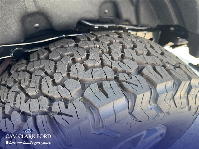 2025 Ford Bronco Badlands (Stk: E9B84982) in Richmond - Image 7 of 25