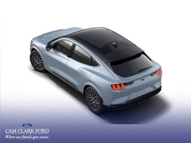 2025 Ford Mustang Mach-E Premium photo 2