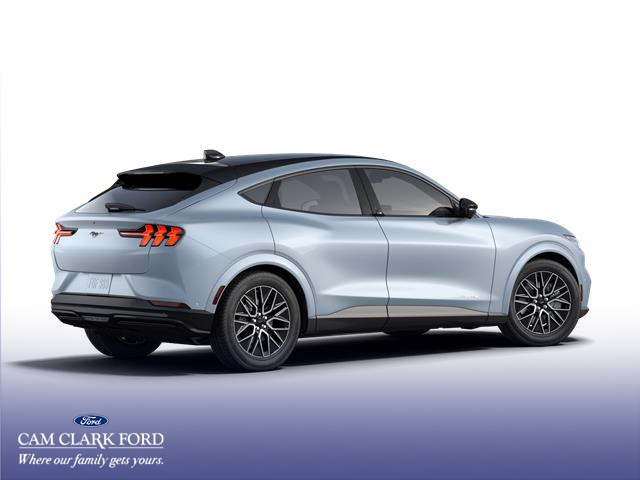 2025 Ford Mustang Mach-E Premium photo 3