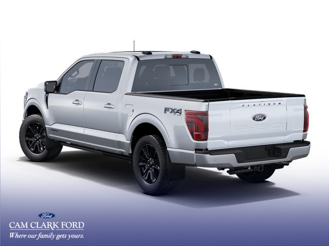 2025 Ford F-150 Platinum (Stk: W7L00624) in Richmond - Image 2 of 7