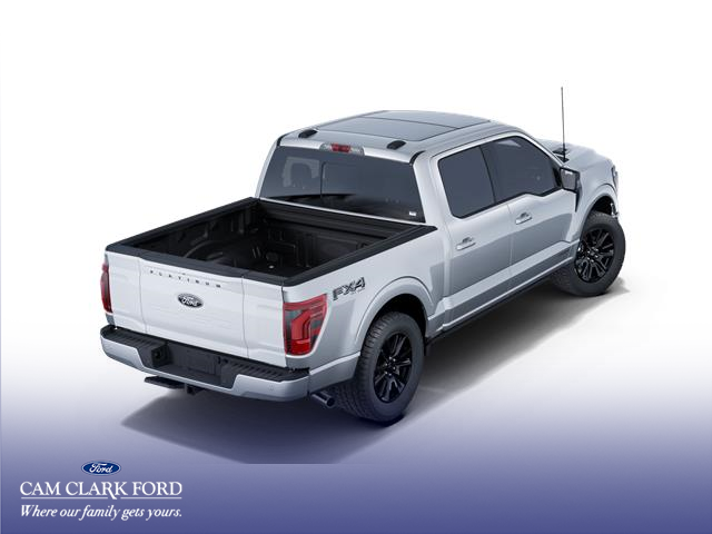 2025 Ford F-150 Platinum (Stk: W7L00624) in Richmond - Image 3 of 7