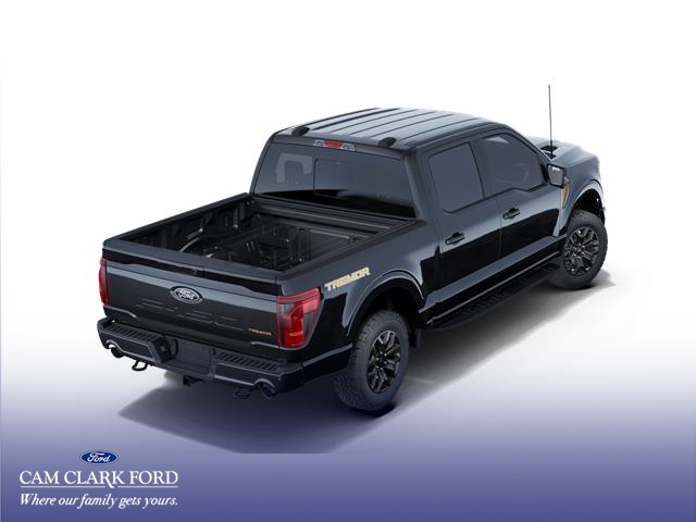 2025 Ford F-150 Tremor (Stk: W4L84002) in Richmond - Image 3 of 7