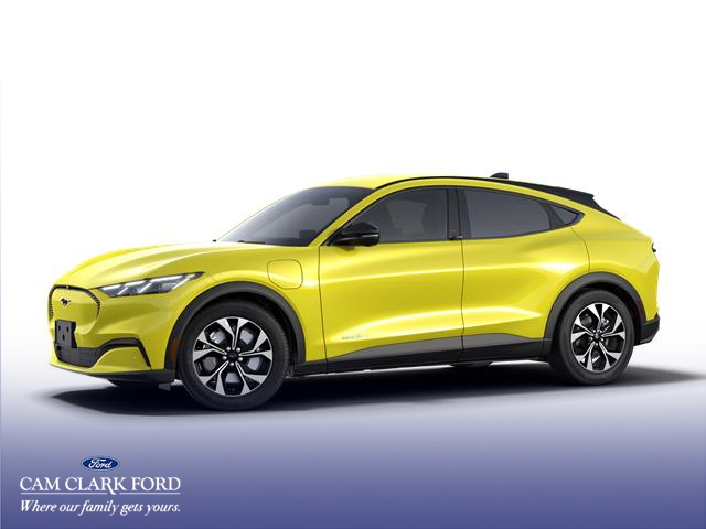 2025 Ford Mustang Mach-E Select (Stk: K1S59203) in Richmond - Image 1 of 7