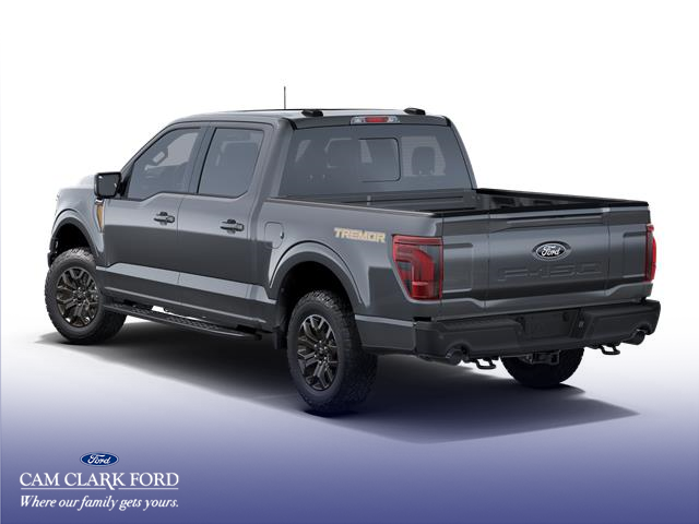 2025 Ford F-150 Tremor (Stk: W4L08871) in Richmond - Image 2 of 7