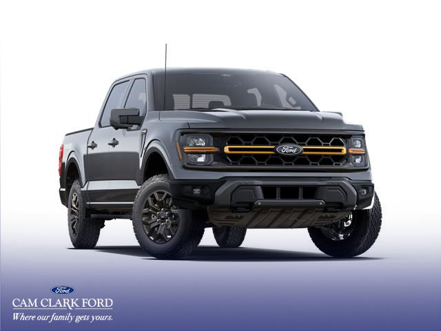 2025 Ford F-150 Tremor (Stk: W4L08871) in Richmond - Image 4 of 7