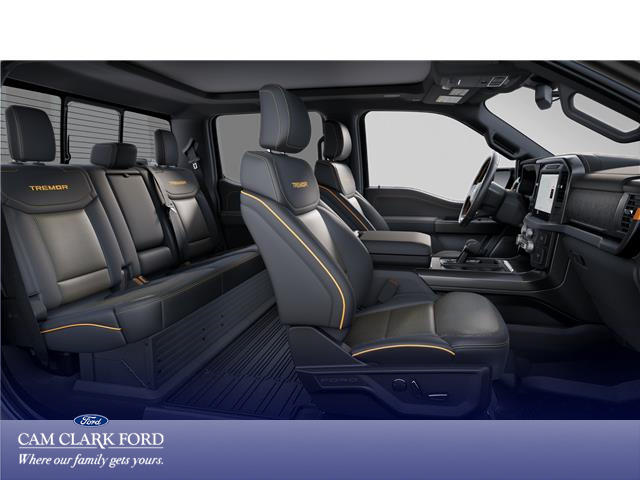 2025 Ford F-150 Tremor (Stk: W4L08871) in Richmond - Image 5 of 7