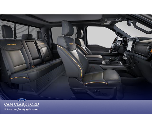 2025 Ford F-150 Tremor (Stk: W4L47856) in Richmond - Image 5 of 7