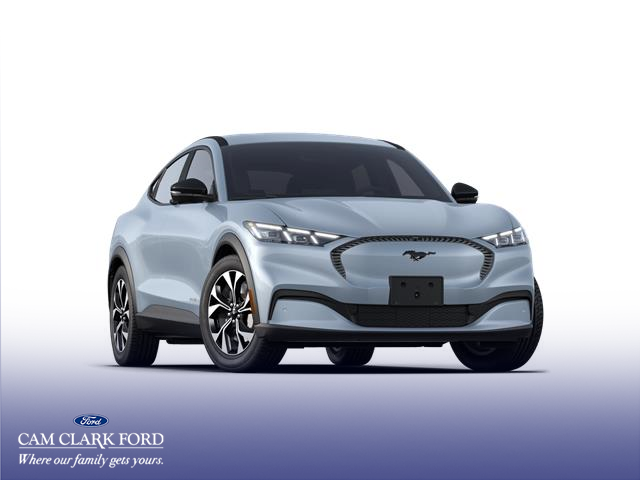 2025 Ford Mustang Mach-E Select (Stk: K1R48789) in Richmond - Image 4 of 7