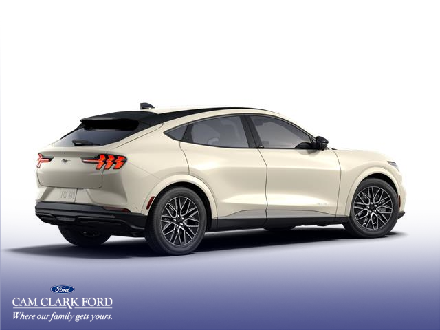2025 Ford Mustang Mach-E Premium (Stk: K3S35048) in Richmond - Image 3 of 7