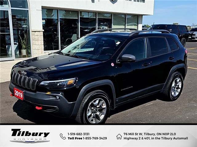 2019 Jeep Cherokee Trailhawk (Stk: 48745T-1) in Tilbury - Image 1 of 32