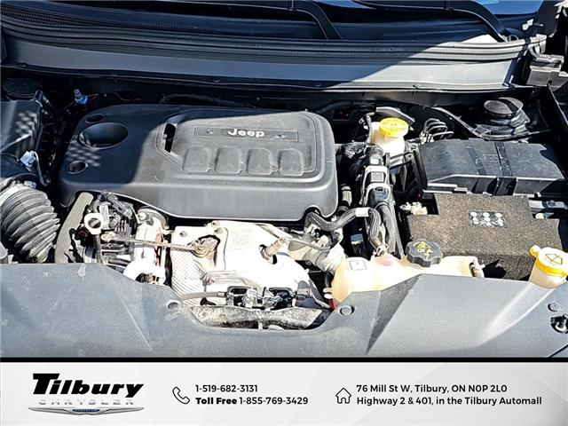 2019 Jeep Cherokee Trailhawk (Stk: 48745T-1) in Tilbury - Image 12 of 32