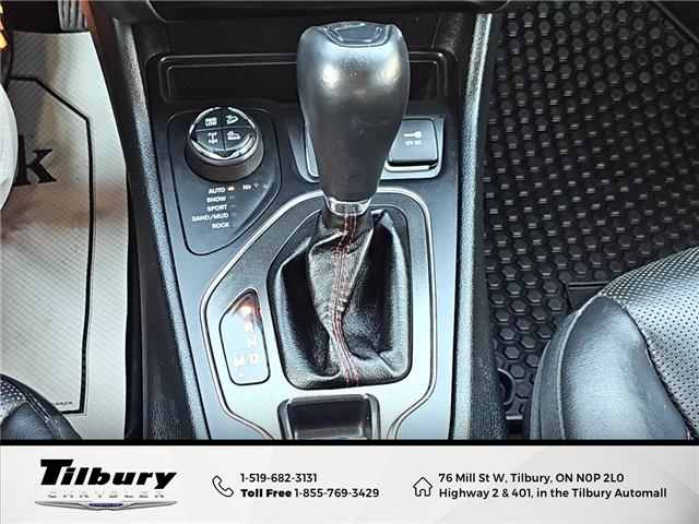 2019 Jeep Cherokee Trailhawk (Stk: 48745T-1) in Tilbury - Image 20 of 32