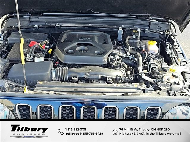 2023 Jeep Wrangler Sahara (Stk: 48790T) in Tilbury - Image 14 of 50