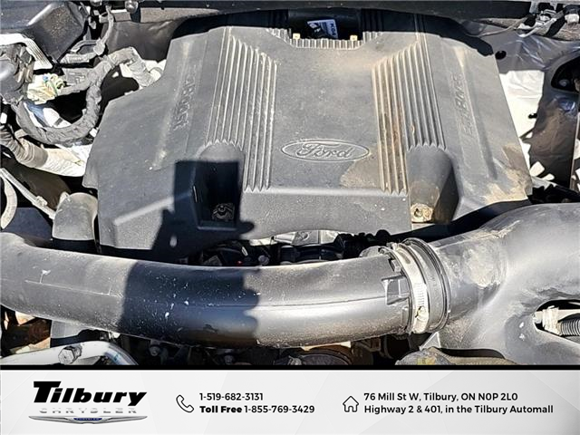 2020 Ford F-150 XL (Stk: 42633-1) in Tilbury - Image 14 of 48