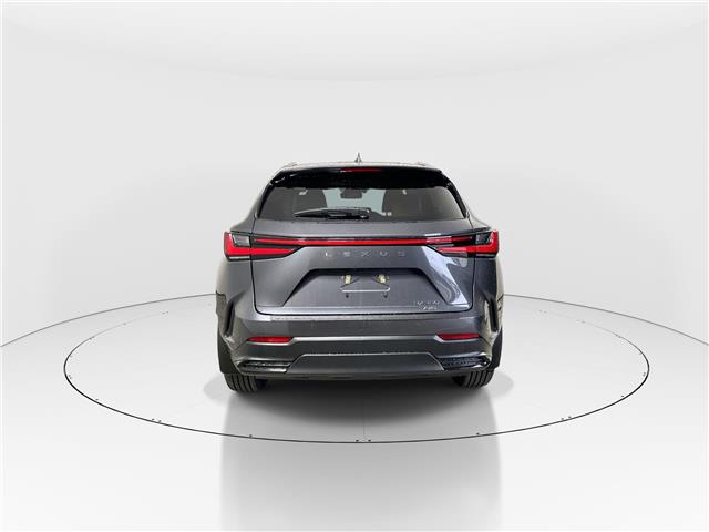 2026 Lexus NX 350  (Stk: 15105206) in Richmond Hill - Image 6 of 18