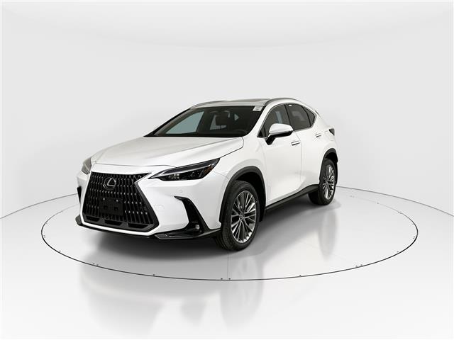2026 Lexus NX 350  (Stk: 15105371) in Richmond Hill - Image 3 of 19