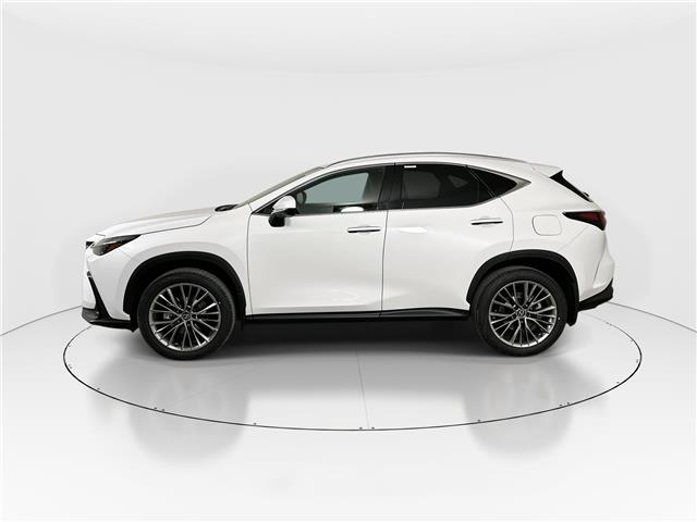2026 Lexus NX 350  (Stk: 15105371) in Richmond Hill - Image 4 of 19