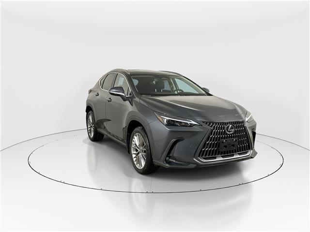 2026 Lexus NX 350h  (Stk: 15105682) in Richmond Hill - Image 1 of 8