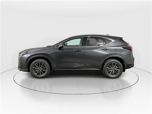 2026 Lexus NX 350  (Stk: 15105849) in Richmond Hill - Image 4 of 8