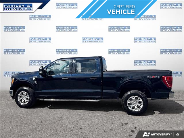2022 Ford F-150 XLT (Stk: P4123L) in Dartmouth - Image 3 of 24 2022 Ford F-150 XLT (Stk: P4123L) in Dartmouth - Image 3 of 24