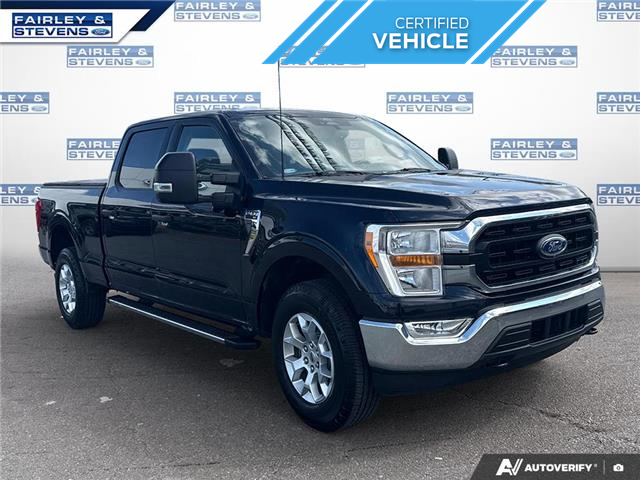 2022 Ford F-150 XLT (Stk: P4123L) in Dartmouth - Image 6 of 24 2022 Ford F-150 XLT (Stk: P4123L) in Dartmouth - Image 6 of 24