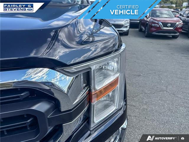 2022 Ford F-150 XLT (Stk: P4123L) in Dartmouth - Image 8 of 24 2022 Ford F-150 XLT (Stk: P4123L) in Dartmouth - Image 8 of 24