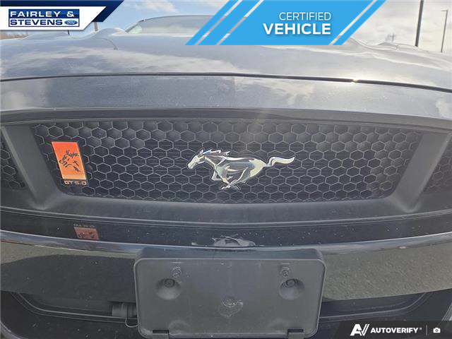 2015 Ford Mustang GT Premium (Stk: P4431A) in Dartmouth - Image 8 of 24