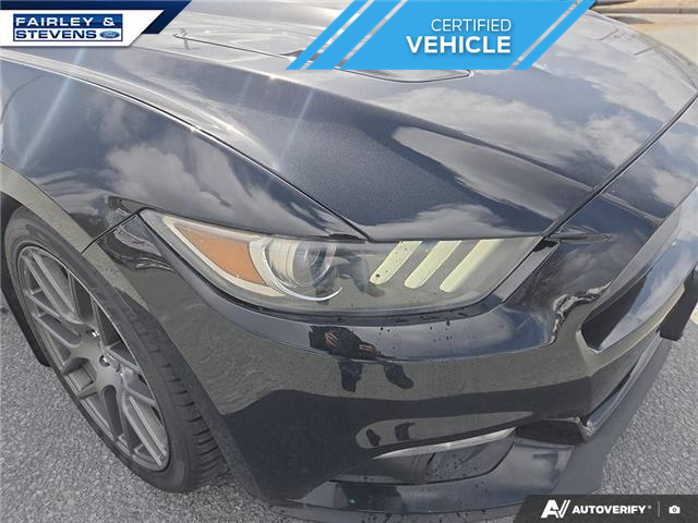 2015 Ford Mustang GT Premium (Stk: P4431A) in Dartmouth - Image 9 of 24