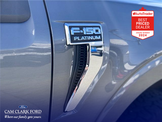 2022 Ford F-150 Platinum (Stk: X69577) in Richmond - Image 11 of 28