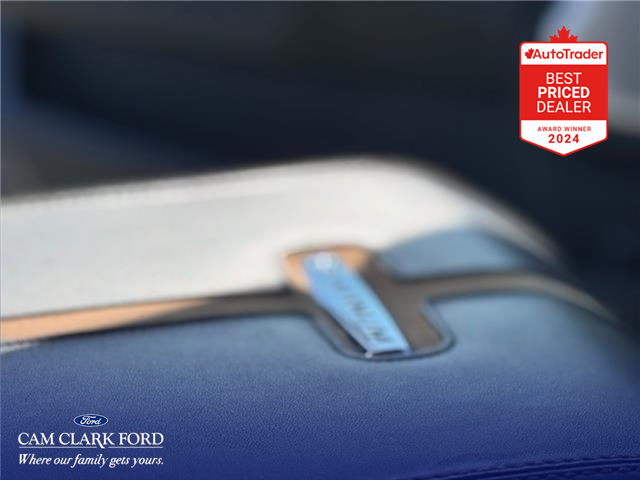 2022 Ford F-150 Platinum (Stk: X69577) in Richmond - Image 19 of 28