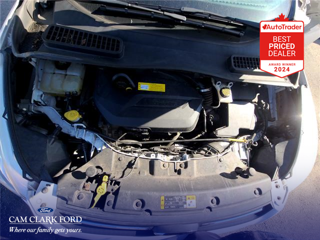 2015 Ford Escape SE (Stk: T47839) in Richmond - Image 10 of 25