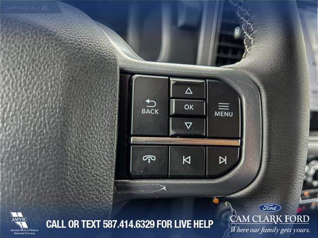 2025 Ford F-150 XLT (Stk: 25AT3001) in Airdrie - Image 16 of 25