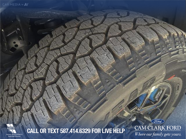 2025 Ford F-150 XLT (Stk: 25CT8954) in Canmore - Image 8 of 26