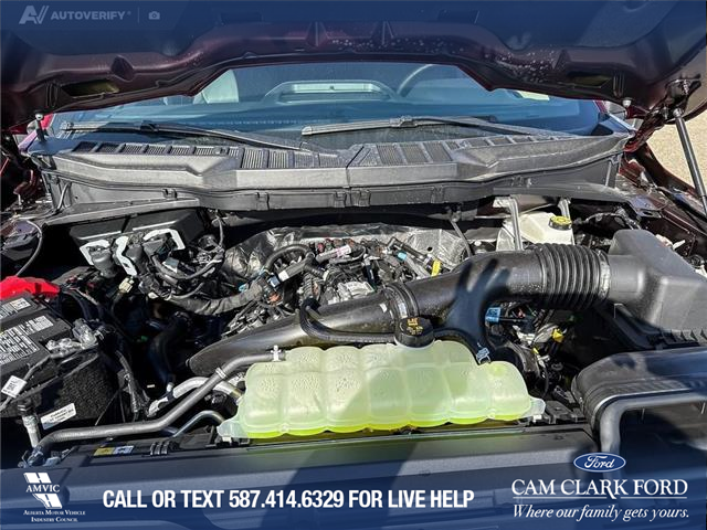 2025 Ford F-150 XLT (Stk: 25T7126) in Red Deer - Image 10 of 24