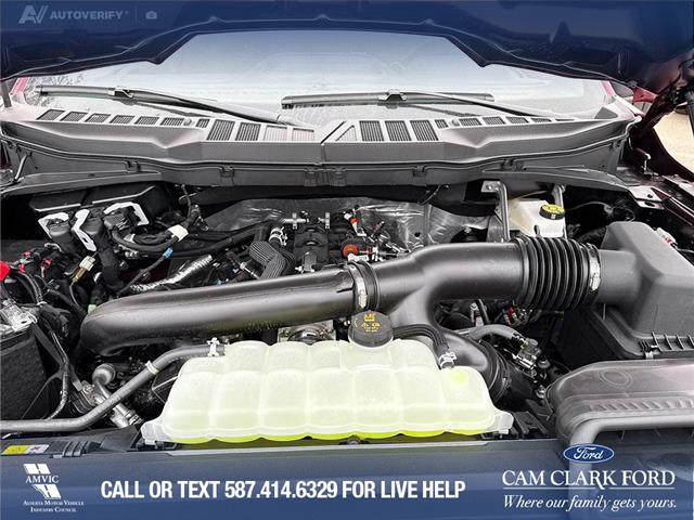 2025 Ford F-150 STX (Stk: 25T3233) in Red Deer - Image 8 of 24