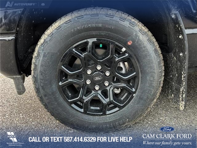 2025 Ford F-150 XLT (Stk: 25AT2755) in Airdrie - Image 6 of 25