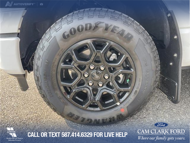 2025 Ford F-150 XLT (Stk: 25AT9957) in Airdrie - Image 6 of 25 2025 Ford F-150 XLT (Stk: 25AT9957) in Airdrie - Image 6 of 25
