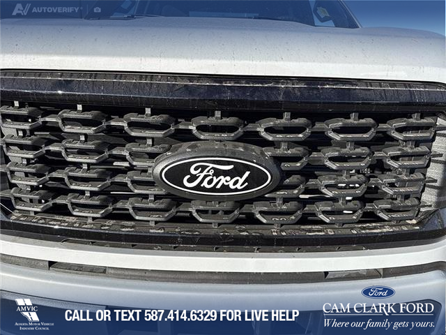 2025 Ford F-150 STX (Stk: 25T8274) in Red Deer - Image 9 of 24