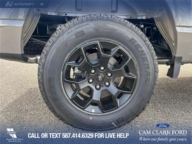 2025 Ford F-150 STX (Stk: 25T6958) in Olds - Image 6 of 25