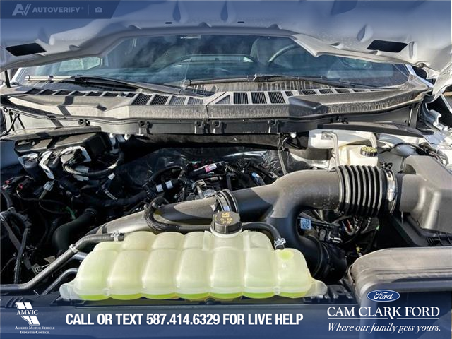 2025 Ford F-150 XLT (Stk: 25AT0702) in Airdrie - Image 10 of 25 2025 Ford F-150 XLT (Stk: 25AT0702) in Airdrie - Image 10 of 25